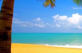 untitled(Wall2mob.com)_32286