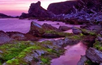 untitled(Wall2mob.com)_31435