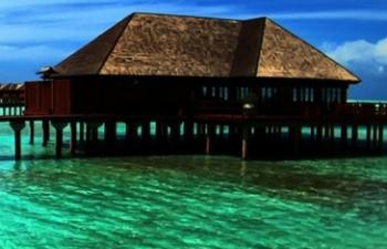 untitled(Wall2mob.com)_31421