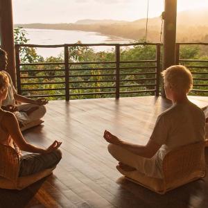 Yoga Programmes